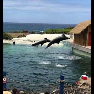 Meet your Posher, Jordyn